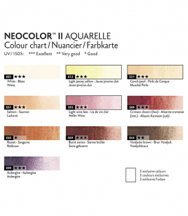 Акварельная пастель Caran d'Ache Neocolor II Portrait Colors, 50th Anniversary Special Edition (10 цветов)